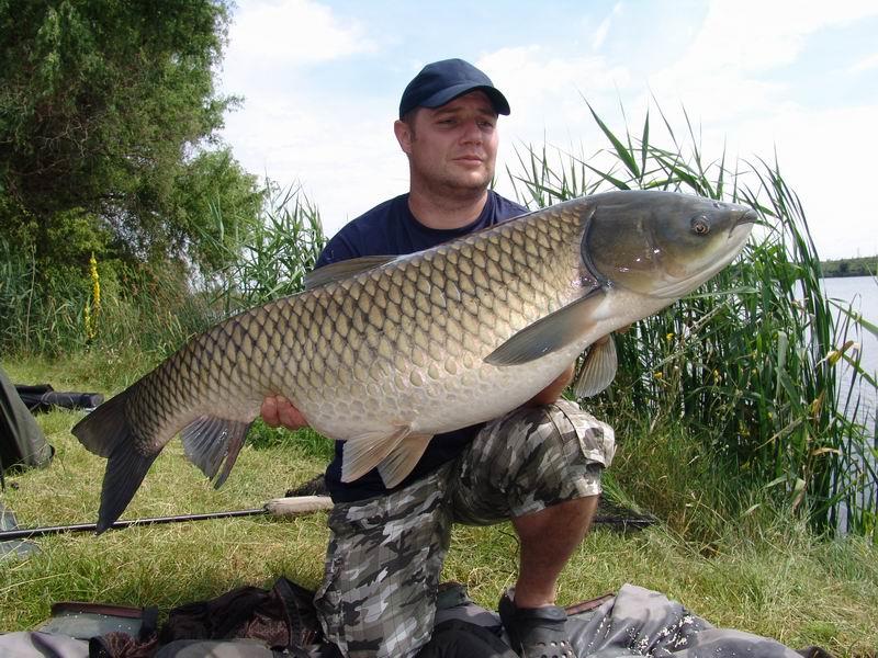 2012 - tancabesti - la pompe